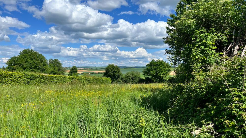 Terrain de 2565 m² - 
89520 FONTENOY
