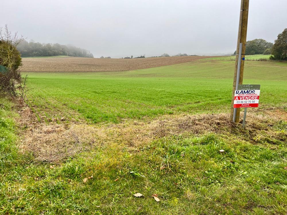 Terrain de 7860 m² - 
89240 PARLY
