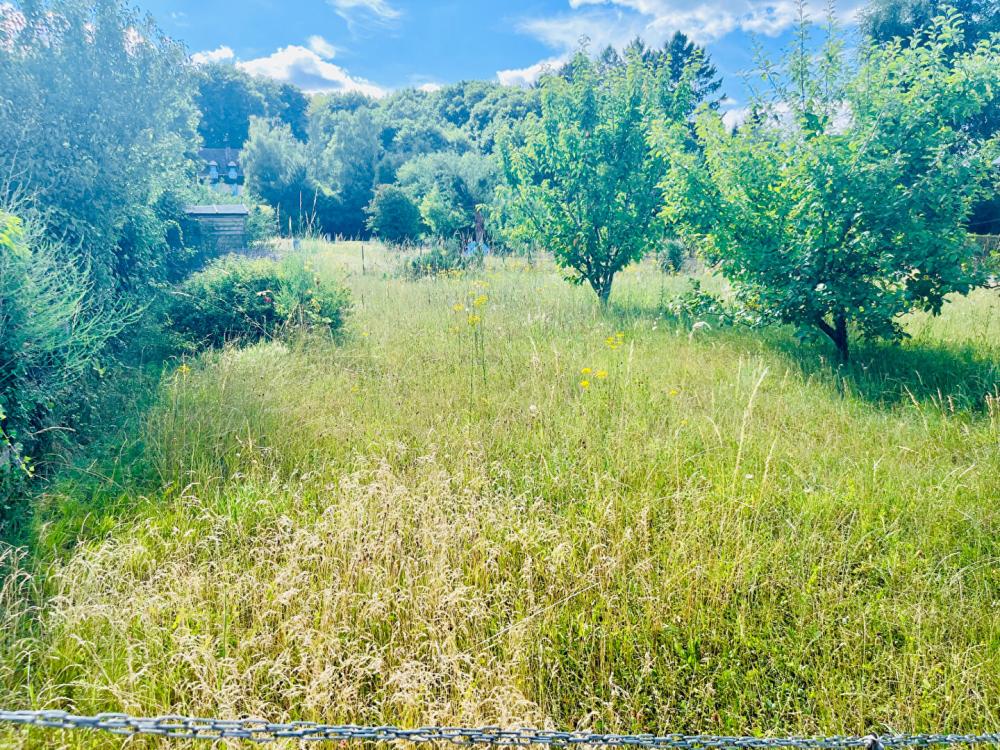 Terrain de 480 m² - 
89300 LOOZE
