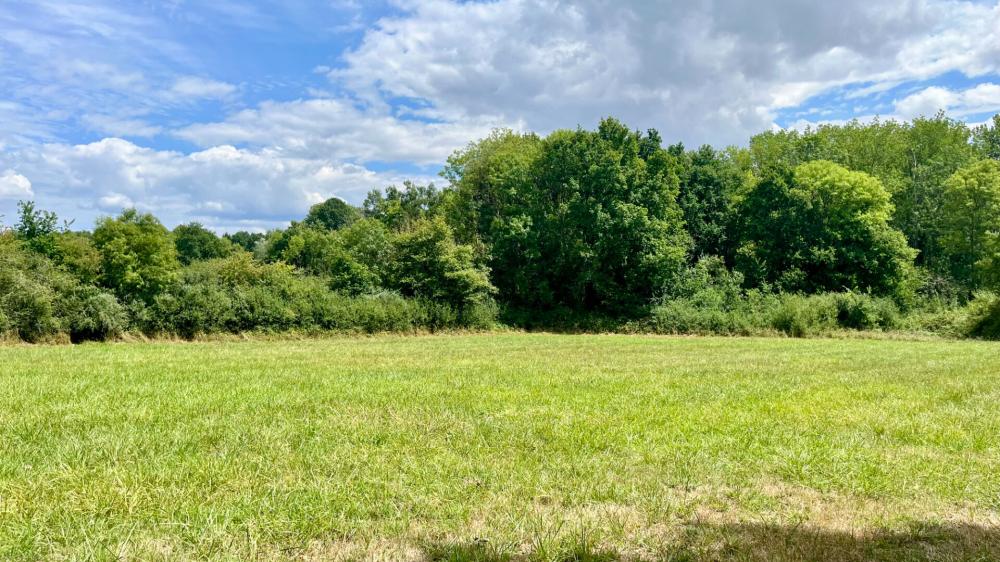 Terrain de 4240 m² - 
89113 CHARBUY
