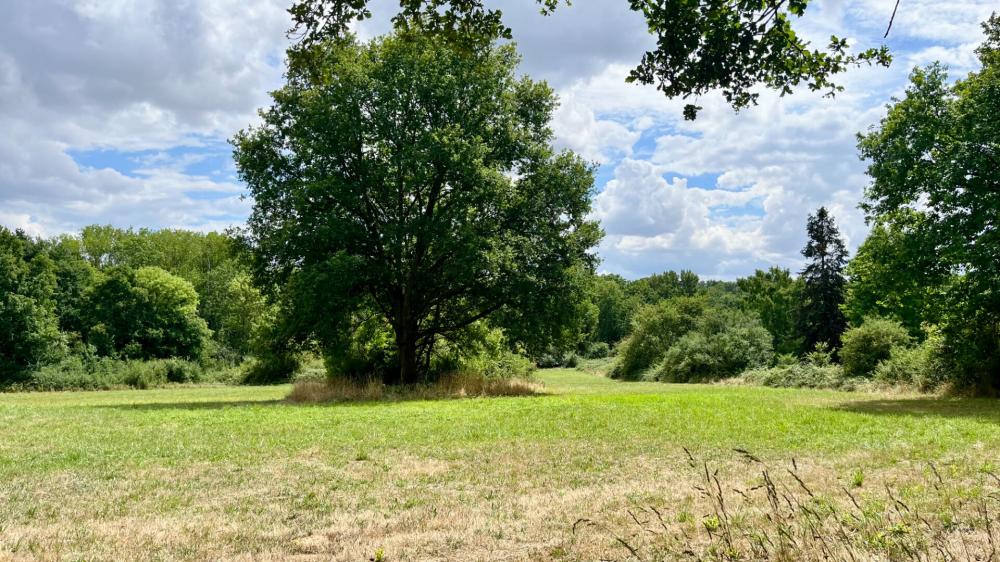 Terrain de 16600 m² - 
89113 CHARBUY
