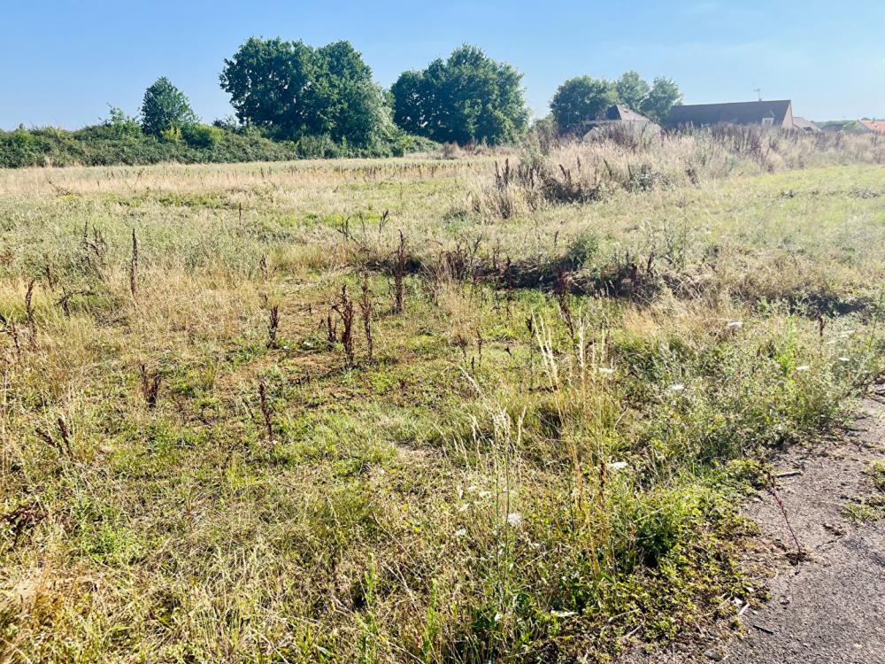 Terrain de 8650 m² - 
89250 GURGY
