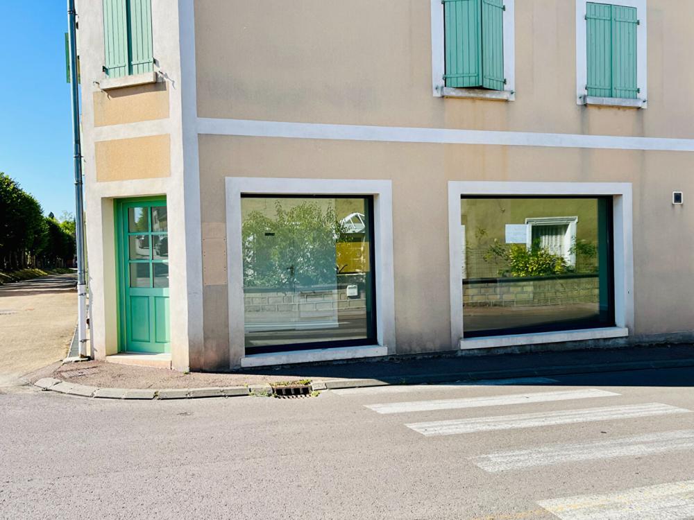 Local professionnel de 0 m² - 
89110 MONTHOLON
