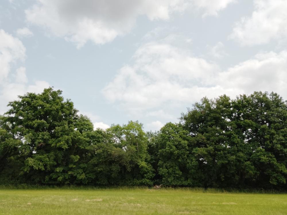 Terrain de 170000 m² - 
45500 GIEN
