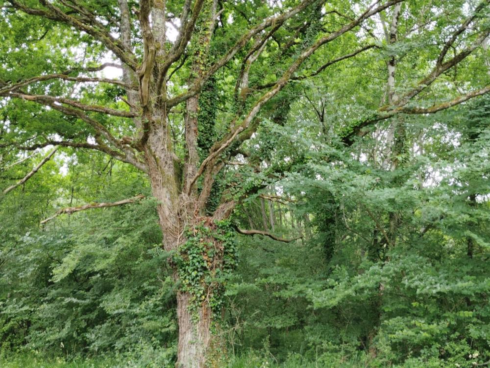 https-media-immo-facile-com-office2-pagesimmoweb-127797-catalog-images-pr-p-5-9-6-3-3-6-0-6-59633606d-jpg-datemaj-02-12-2025-16-30-52