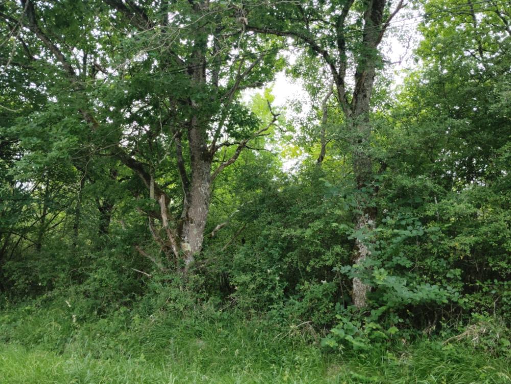 https-media-immo-facile-com-office2-pagesimmoweb-127797-catalog-images-pr-p-5-9-6-3-3-6-0-6-59633606e-jpg-datemaj-02-12-2025-16-30-53