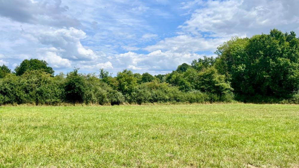 https-media-immo-facile-com-office2-pagesimmoweb-127797-catalog-images-pr-p-5-8-9-2-4-1-7-0-58924170e-jpg-datemaj-29-07-2025-18-14-52