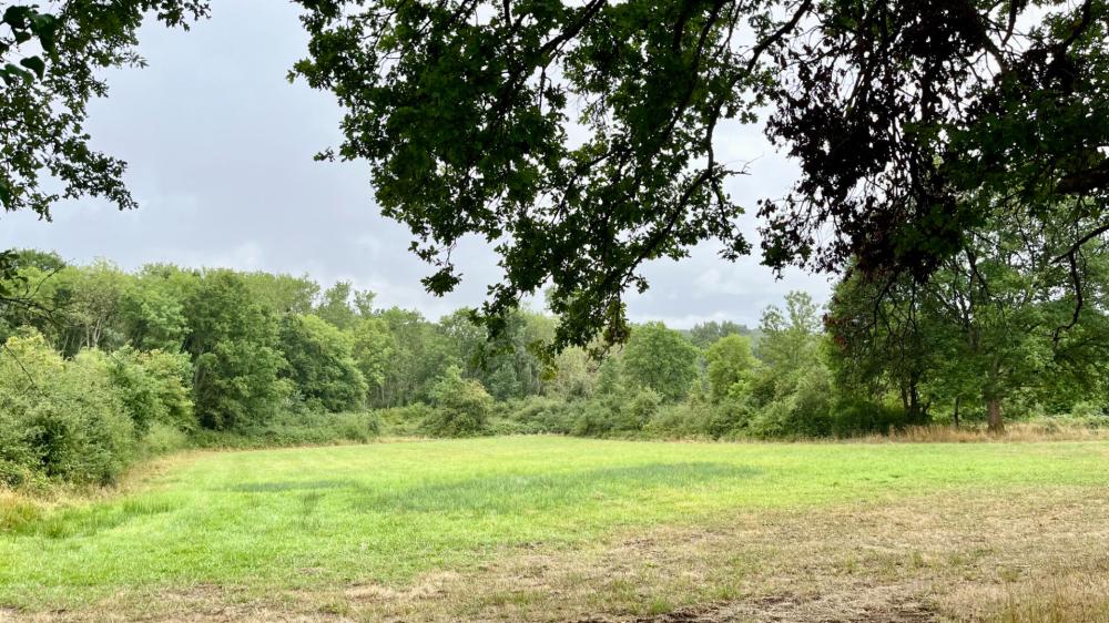 https-media-immo-facile-com-office2-pagesimmoweb-127797-catalog-images-pr-p-5-8-9-2-4-0-6-4-58924064c-jpg-datemaj-29-07-2025-18-01-46