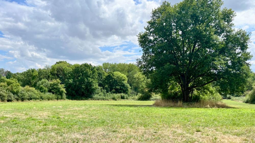 https-media-immo-facile-com-office2-pagesimmoweb-127797-catalog-images-pr-p-5-8-9-2-4-0-6-4-58924064f-jpg-datemaj-29-07-2025-18-01-46