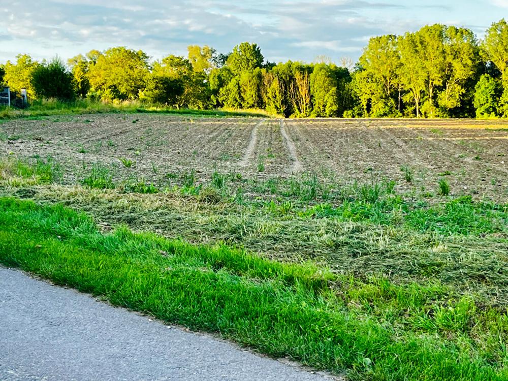 Terrain de 950 m² - 
89113 VALRAVILLON
