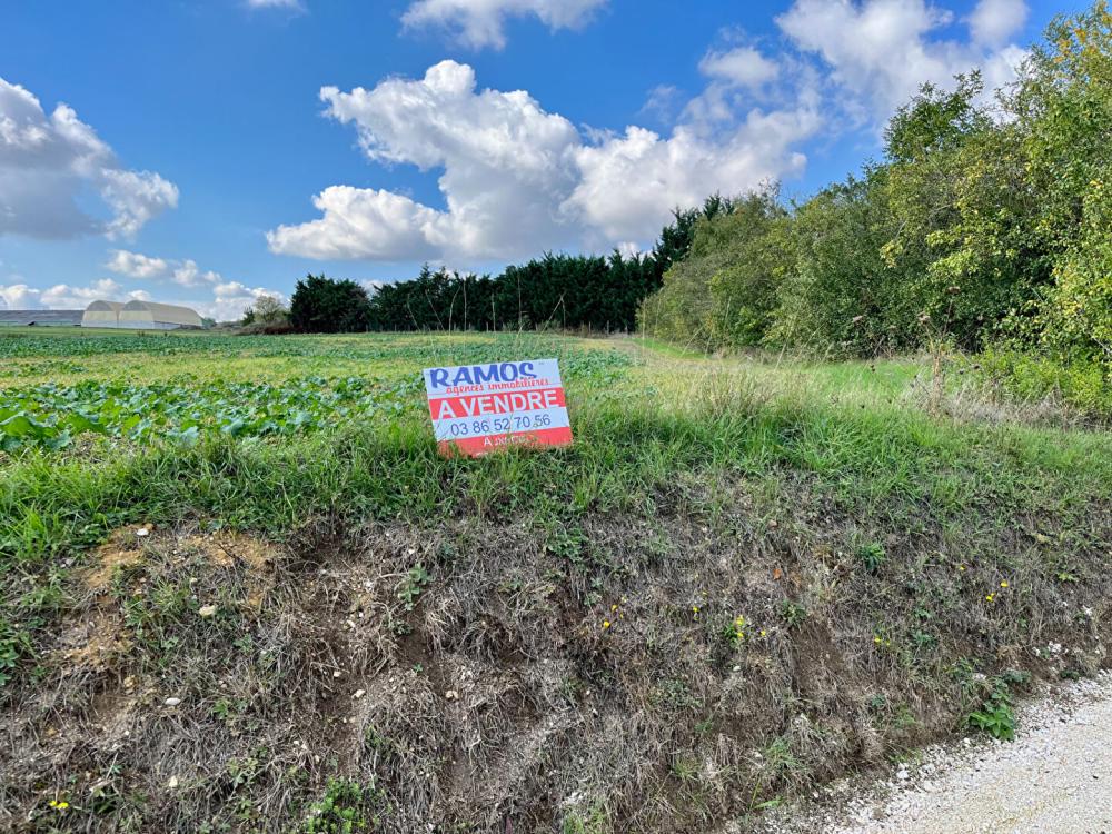 Terrain de 1400 m² - 
89113 GUERCHY
