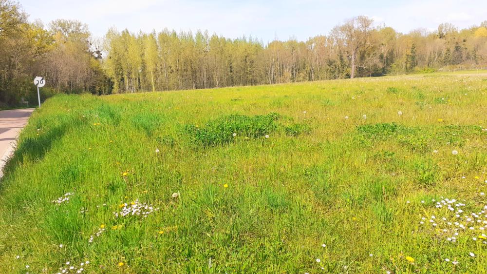 Terrain de 845 m² - 
89113 FLEURY LA VALLEE
