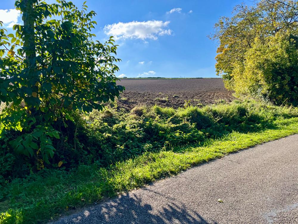 Terrain de 2400 m² - 
89240 POURRAIN
