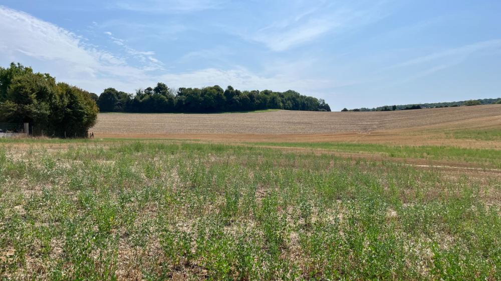 Terrain de 7860 m² - 
89240 PARLY
