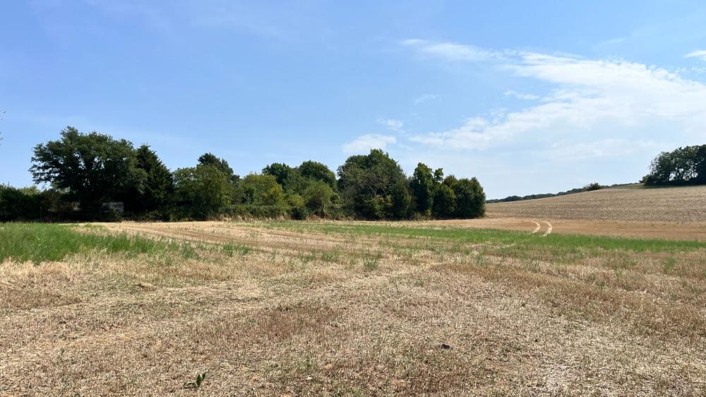 https-media-immo-facile-com-office2-pagesimmoweb-127797-catalog-images-pr-p-5-7-1-4-5-1-6-5-57145165e-jpg-datemaj-14-08-2025-15-51-08