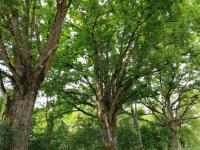 https-media-immo-facile-com-office2-pagesimmoweb-127797-catalog-images-pr-p-5-9-6-3-3-6-0-6-59633606b-jpg-datemaj-02-12-2025-16-30-18