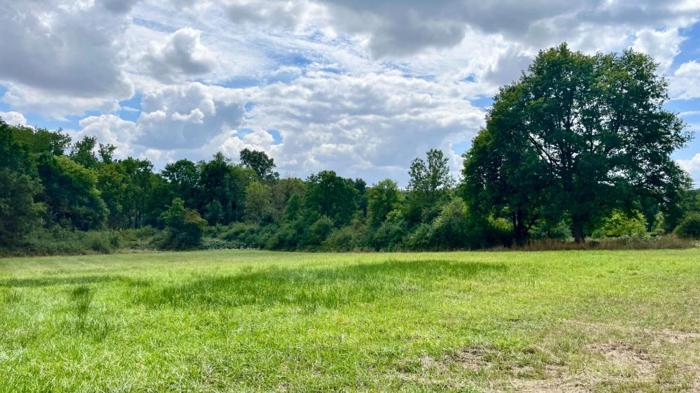 https-media-immo-facile-com-office2-pagesimmoweb-127797-catalog-images-pr-p-5-8-9-2-4-2-1-5-58924215d-jpg-datemaj-29-07-2025-18-15-51