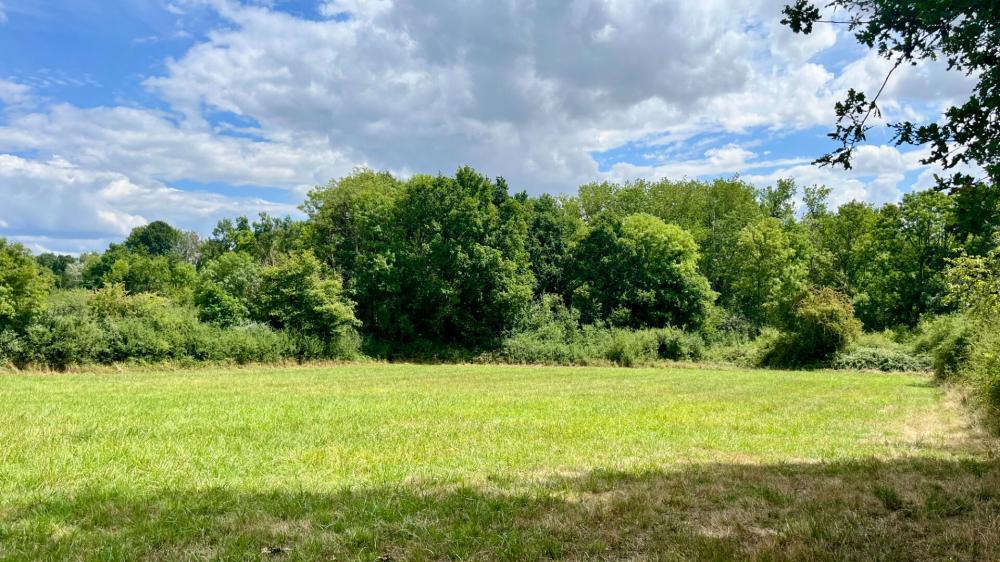 https-media-immo-facile-com-office2-pagesimmoweb-127797-catalog-images-pr-p-5-8-9-2-4-1-5-6-58924156c-jpg-datemaj-29-07-2025-18-13-16