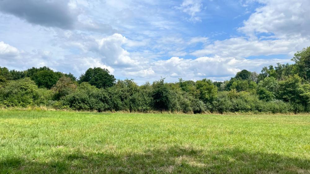 https-media-immo-facile-com-office2-pagesimmoweb-127797-catalog-images-pr-p-5-8-9-2-4-1-5-6-58924156d-jpg-datemaj-29-07-2025-18-13-18