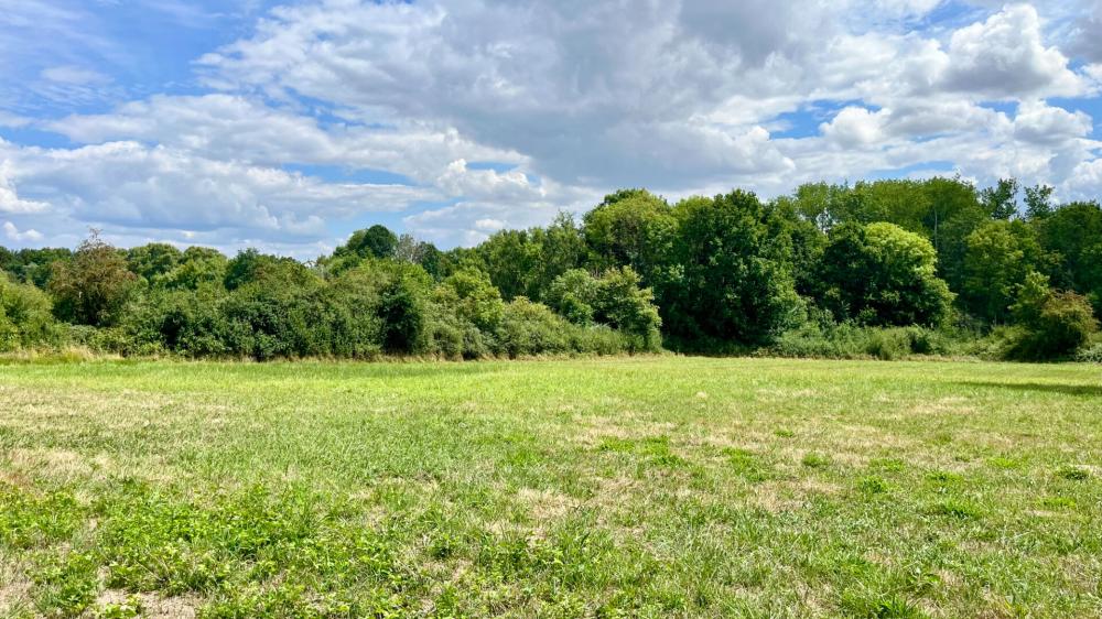 https-media-immo-facile-com-office2-pagesimmoweb-127797-catalog-images-pr-p-5-8-9-2-4-0-6-4-58924064d-jpg-datemaj-29-07-2025-18-01-46