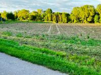 https-media-immo-facile-com-office2-pagesimmoweb-127797-catalog-images-pr-p-5-5-9-5-9-4-9-1-55959491a-jpg-datemaj-18-03-2025-16-18-50