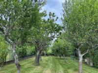 https-media-immo-facile-com-office2-pagesimmoweb-127797-catalog-images-pr-p-5-8-3-9-1-3-6-8-58391368k-jpg-datemaj-06-06-2025-14-05-17