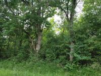 https-media-immo-facile-com-office2-pagesimmoweb-127797-catalog-images-pr-p-5-9-6-3-3-6-0-6-59633606e-jpg-datemaj-02-12-2025-16-30-53