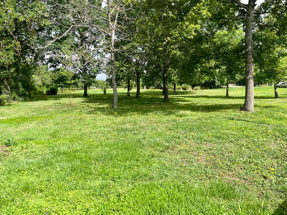 
Terrain Chevannes 1980 m²
