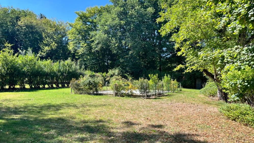 https-media-immo-facile-com-office2-pagesimmoweb-127797-catalog-images-pr-p-5-9-8-2-6-3-0-5-59826305p-jpg-datemaj-22-01-2026-18-58-04