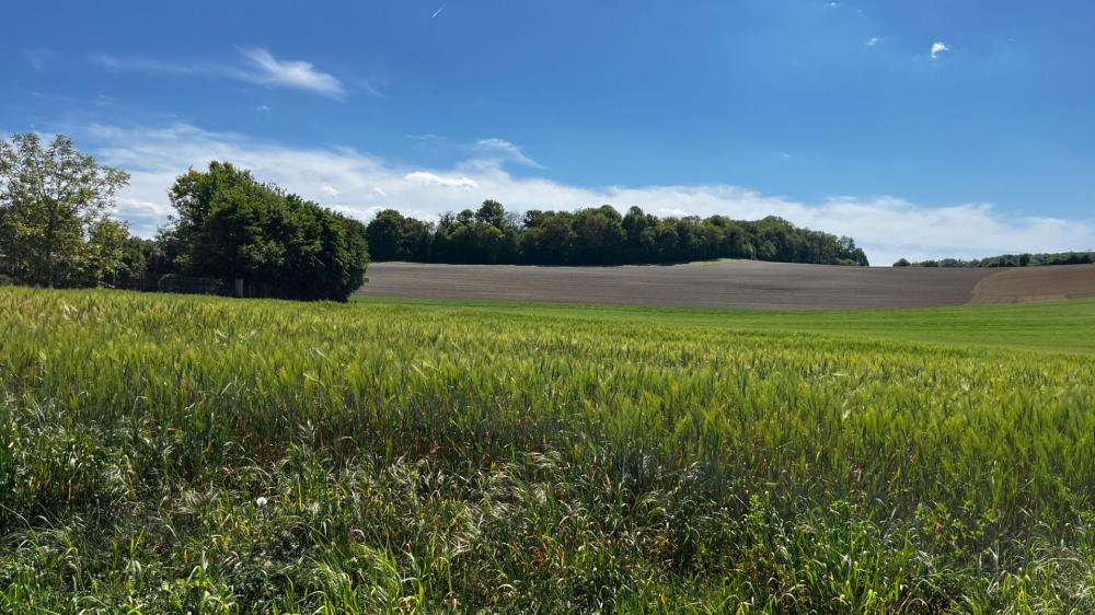 https-media-immo-facile-com-office2-pagesimmoweb-127797-catalog-images-pr-p-5-7-1-4-5-1-6-5-57145165a-jpg-datemaj-29-04-2026-15-37-00