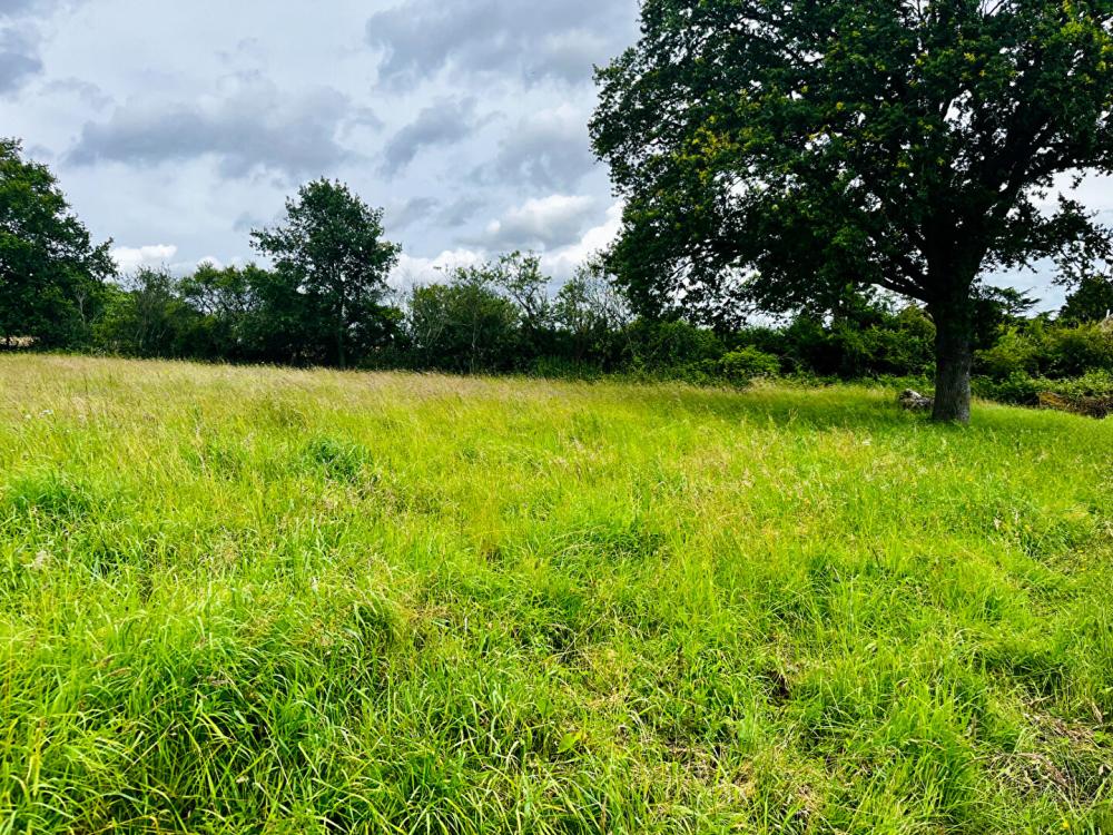 
CHARBUY Terr 1600 m²
