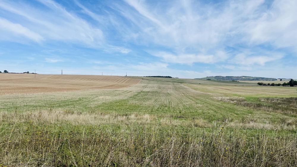 
TERRAIN SUD AUXERRE
