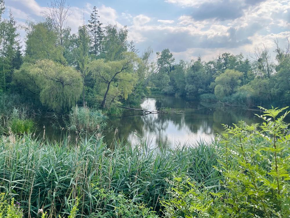 https-media-immo-facile-com-office2-pagesimmoweb-127797-catalog-images-pr-p-5-8-6-8-0-8-0-3-58680803b-jpg-datemaj-08-09-2026-15-40-47